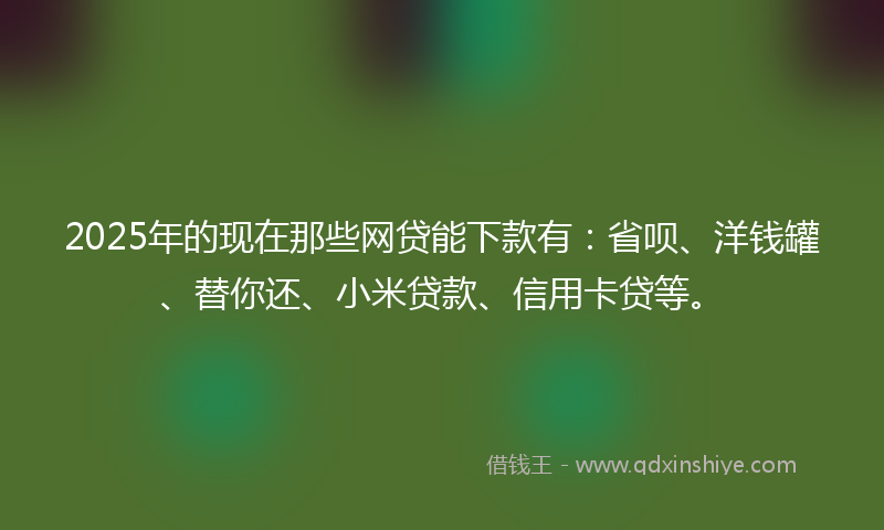 2025年的现在那些网贷能下款有：省呗、洋钱罐、替你还、小米贷款、信用卡贷等。