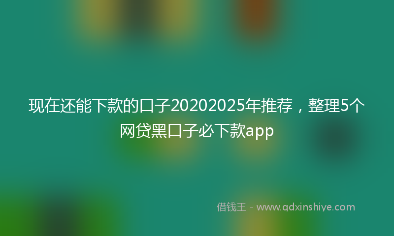 现在还能下款的口子20202025年推荐，整理5个网贷黑口子必下款app