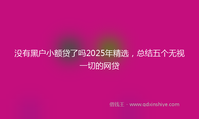 没有黑户小额贷了吗2025年精选，总结五个无视一切的网贷