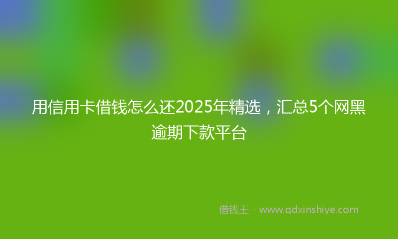 用信用卡借钱怎么还2025年精选,汇总5个网黑逾期下款平台