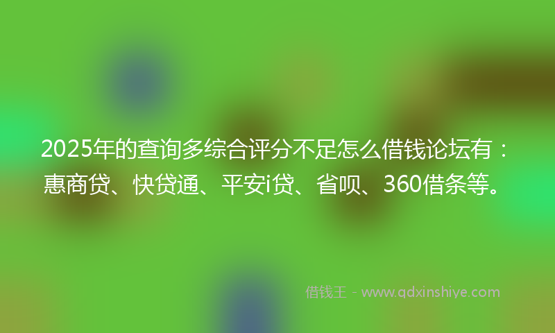 2025年的查询多综合评分不足怎么借钱论坛有:惠商贷、快贷通、平安i贷、省呗、360借条等。