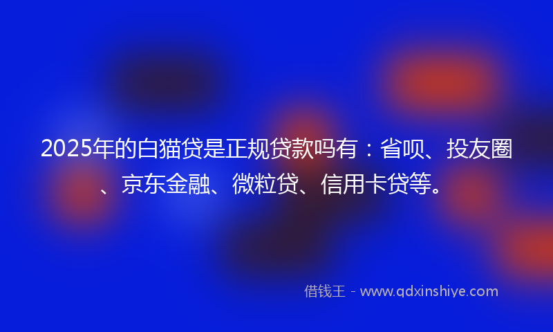2025年的白猫贷是正规贷款吗有：省呗、投友圈、京东金融、微粒贷、信用卡贷等。