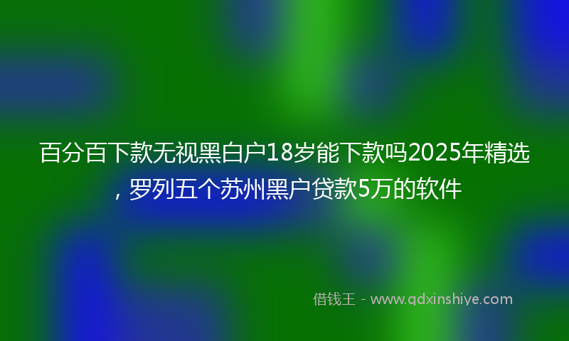百分百下款无视黑白户18岁能下款吗2025年精选，罗列五个苏州黑户贷款5万的软件