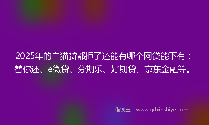 2025年的白猫贷都拒了还能有哪个网贷能下有：替你还、e微贷、分期乐、好期贷、京东金融等。