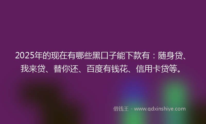 2025年的现在有哪些黑口子能下款有：随身贷、我来贷、替你还、百度有钱花、信用卡贷等。