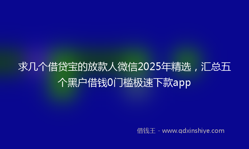求几个借贷宝的放款人微信2025年精选，汇总五个黑户借钱0门槛极速下款app