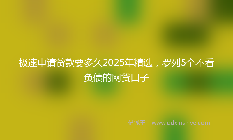极速申请贷款要多久2025年精选，罗列5个不看负债的网贷口子