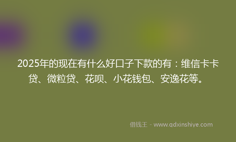 2025年的现在有什么好口子下款的有：维信卡卡贷、微粒贷、花呗、小花钱包、安逸花等。