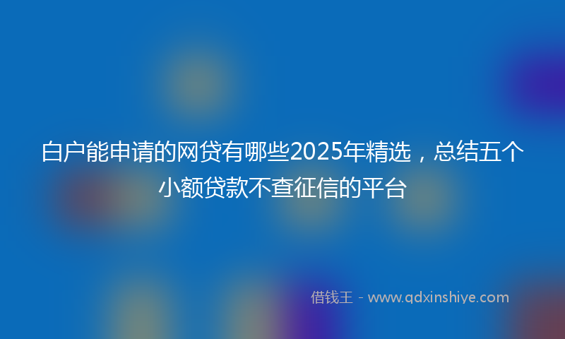 白户能申请的网贷有哪些2025年精选，总结五个小额贷款不查征信的平台