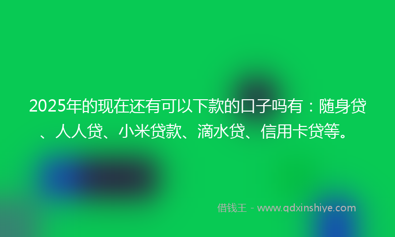 2025年的现在还有可以下款的口子吗有：随身贷、人人贷、小米贷款、滴水贷、信用卡贷等。