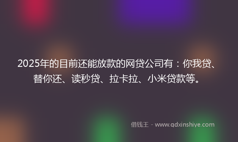 2025年的目前还能放款的网贷公司有：你我贷、替你还、读秒贷、拉卡拉、小米贷款等。