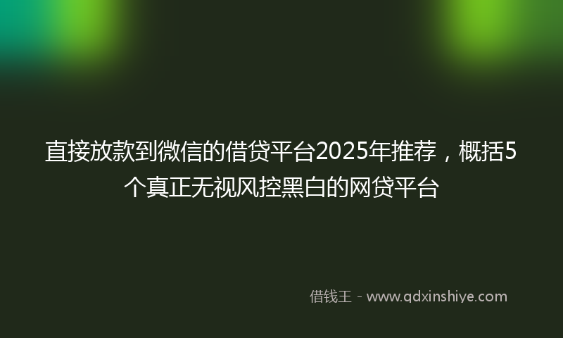 直接放款到微信的借贷平台2025年推荐，概括5个真正无视风控黑白的网贷平台