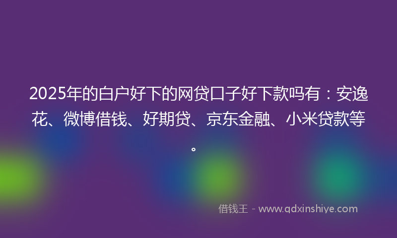 2025年的白户好下的网贷口子好下款吗有：安逸花、微博借钱、好期贷、京东金融、小米贷款等。