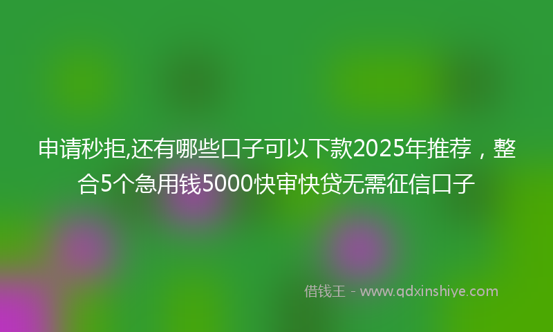 申请秒拒,还有哪些口子可以下款2025年推荐，整合5个急用钱5000快审快贷无需征信口子