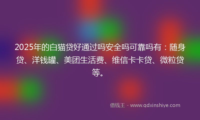 2025年的白猫贷好通过吗安全吗可靠吗有：随身贷、洋钱罐、美团生活费、维信卡卡贷、微粒贷等。