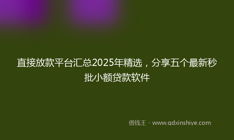 直接放款平台汇总2025年精选，分享五个最新秒批小额贷款软件