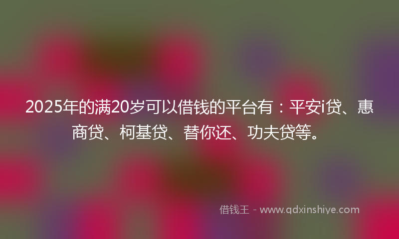 2025年的满20岁可以借钱的平台有：平安i贷、惠商贷、柯基贷、替你还、功夫贷等。