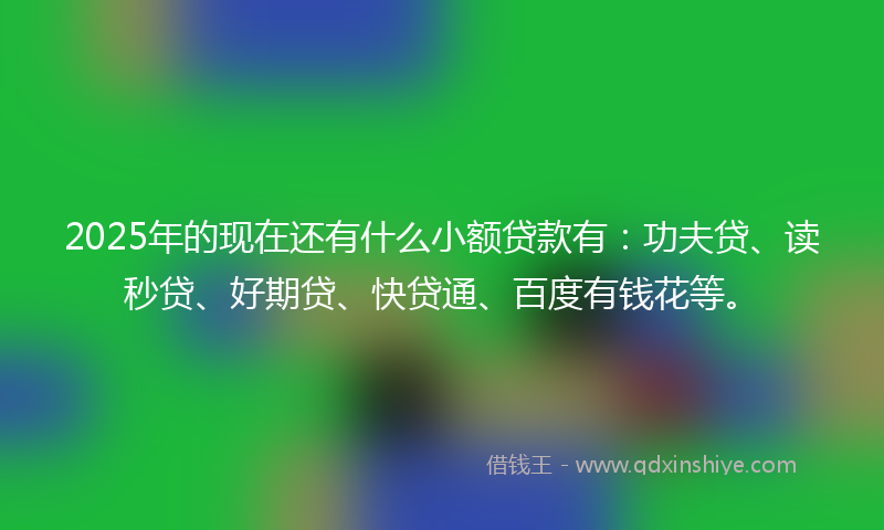 2025年的现在还有什么小额贷款有：功夫贷、读秒贷、好期贷、快贷通、百度有钱花等。