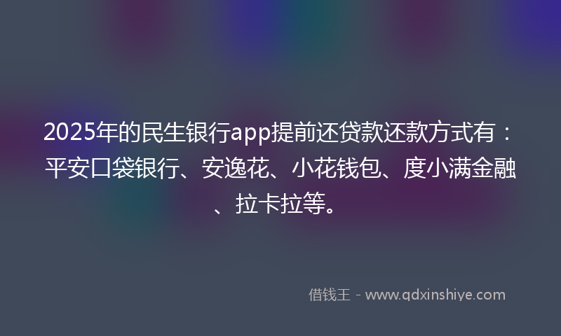2025年的民生银行app提前还贷款还款方式有：平安口袋银行、安逸花、小花钱包、度小满金融、拉卡拉等。