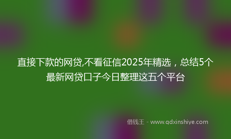 直接下款的网贷,不看征信2025年精选，总结5个最新网贷口子今日整理这五个平台