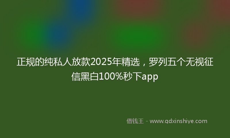 正规的纯私人放款2025年精选，罗列五个无视征信黑白100%秒下app