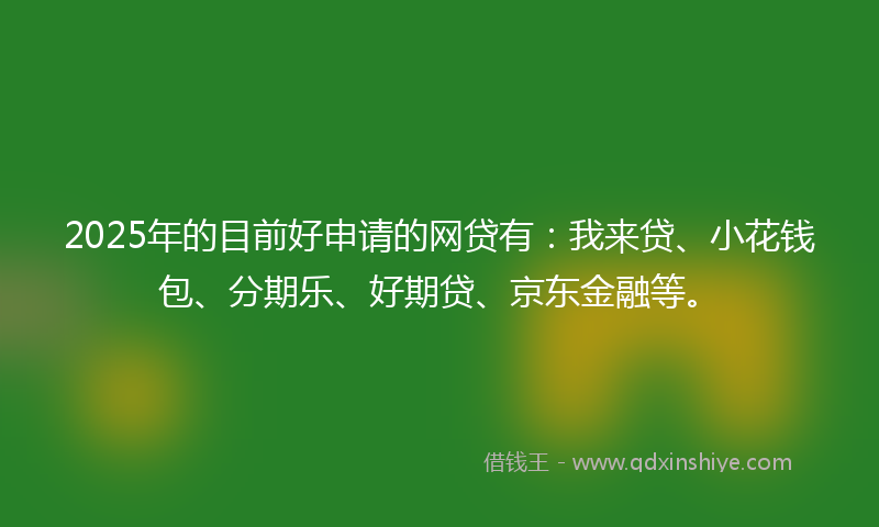 2025年的目前好申请的网贷有：我来贷、小花钱包、分期乐、好期贷、京东金融等。