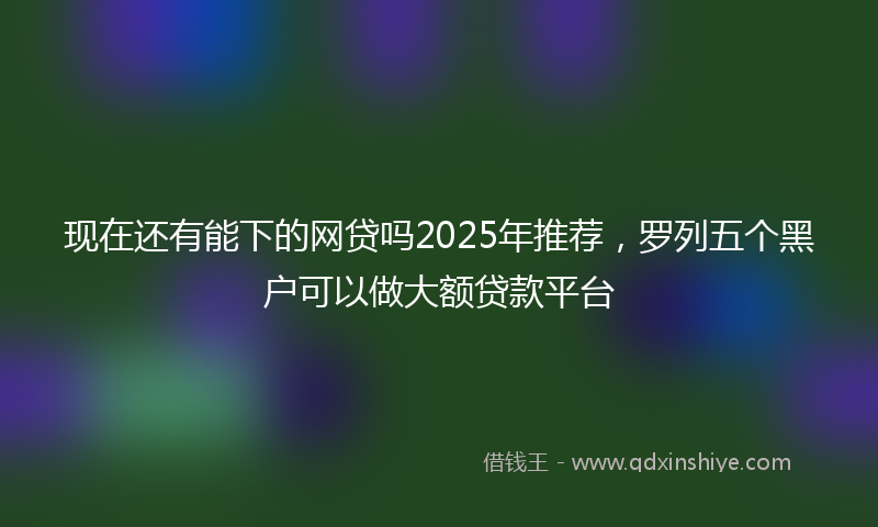 现在还有能下的网贷吗2025年推荐，罗列五个黑户可以做大额贷款平台