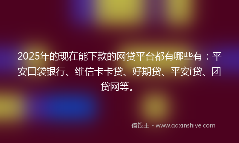 2025年的现在能下款的网贷平台都有哪些有：平安口袋银行、维信卡卡贷、好期贷、平安i贷、团贷网等。