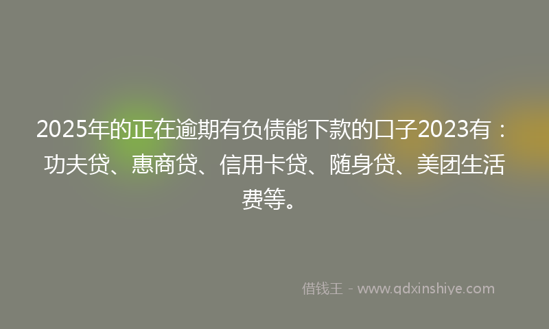 2025年的正在逾期有负债能下款的口子2023有：功夫贷、惠商贷、信用卡贷、随身贷、美团生活费等。