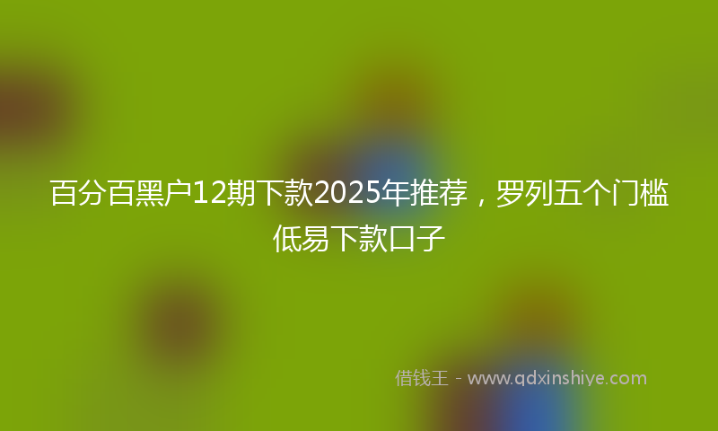百分百黑户12期下款2025年推荐，罗列五个门槛低易下款口子