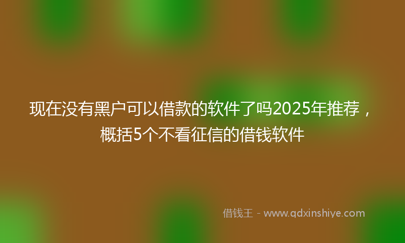 现在没有黑户可以借款的软件了吗2025年推荐，概括5个不看征信的借钱软件