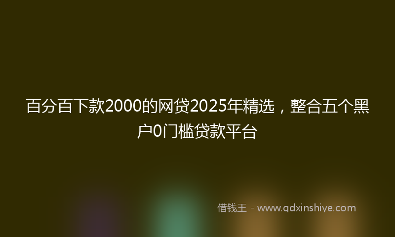 百分百下款2000的网贷2025年精选，整合五个黑户0门槛贷款平台