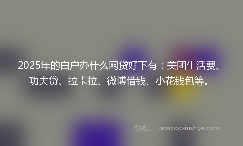 2025年的白户办什么网贷好下有：美团生活费、功夫贷、拉卡拉、微博借钱、小花钱包等。
