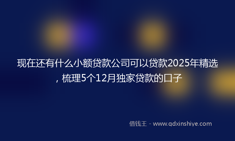 现在还有什么小额贷款公司可以贷款2025年精选，梳理5个12月独家贷款的口子