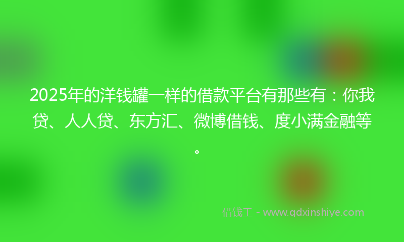 2025年的洋钱罐一样的借款平台有那些有：你我贷、人人贷、东方汇、微博借钱、度小满金融等。