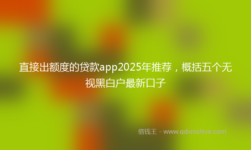 直接出额度的贷款app2025年推荐，概括五个无视黑白户最新口子