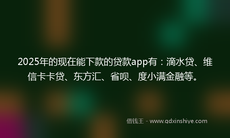 2025年的现在能下款的贷款app有：滴水贷、维信卡卡贷、东方汇、省呗、度小满金融等。