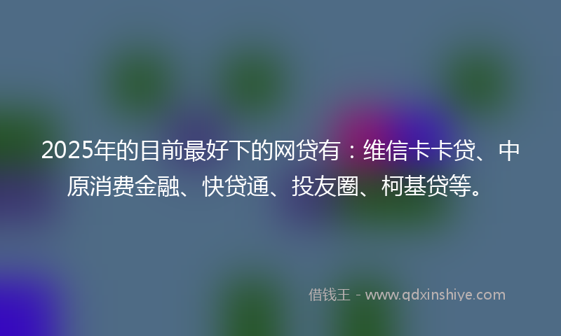 2025年的目前最好下的网贷有：维信卡卡贷、中原消费金融、快贷通、投友圈、柯基贷等。