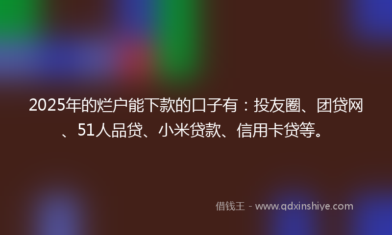 2025年的烂户能下款的口子有：投友圈、团贷网、51人品贷、小米贷款、信用卡贷等。