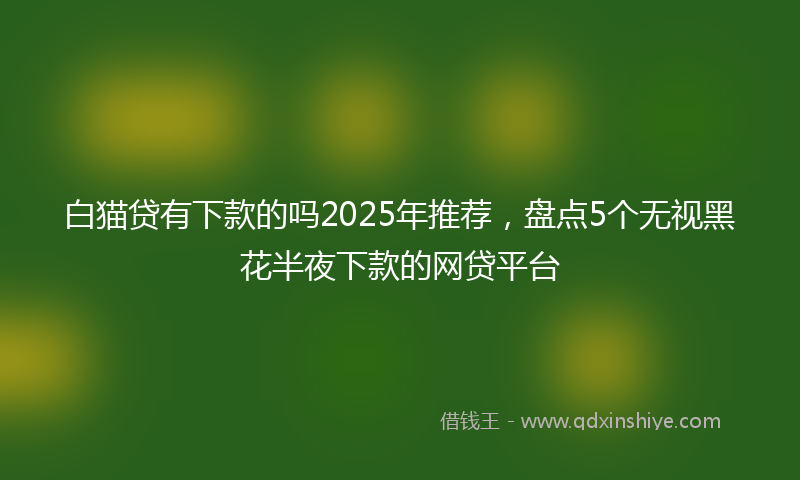 白猫贷有下款的吗2025年推荐，盘点5个无视黑花半夜下款的网贷平台