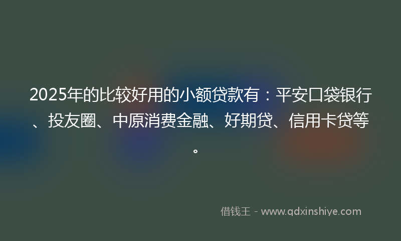2025年的比较好用的小额贷款有：平安口袋银行、投友圈、中原消费金融、好期贷、信用卡贷等。