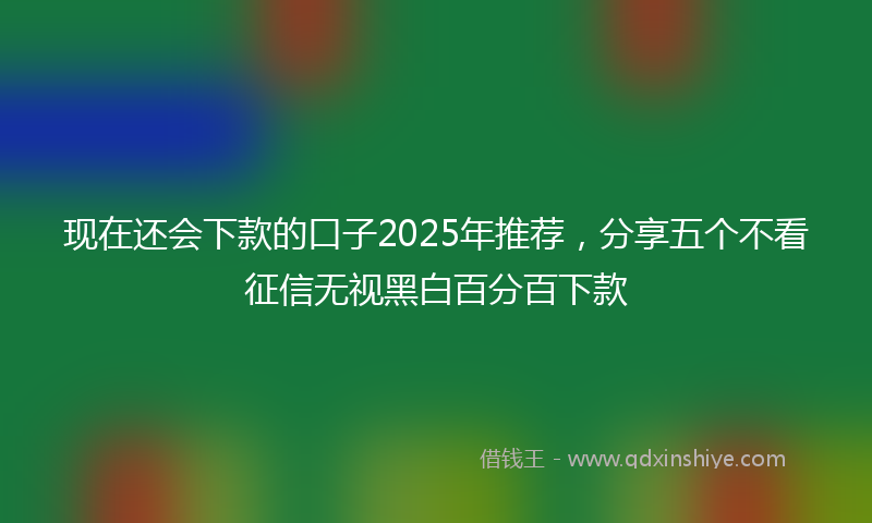 现在还会下款的口子2025年推荐，分享五个不看征信无视黑白百分百下款