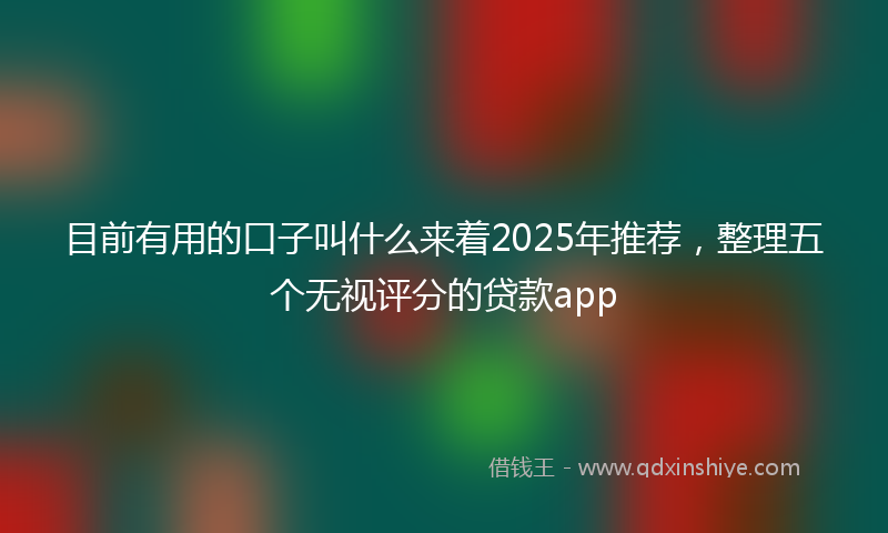 目前有用的口子叫什么来着2025年推荐，整理五个无视评分的贷款app