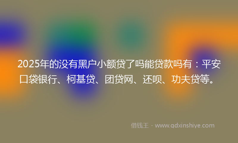 2025年的没有黑户小额贷了吗能贷款吗有：平安口袋银行、柯基贷、团贷网、还呗、功夫贷等。