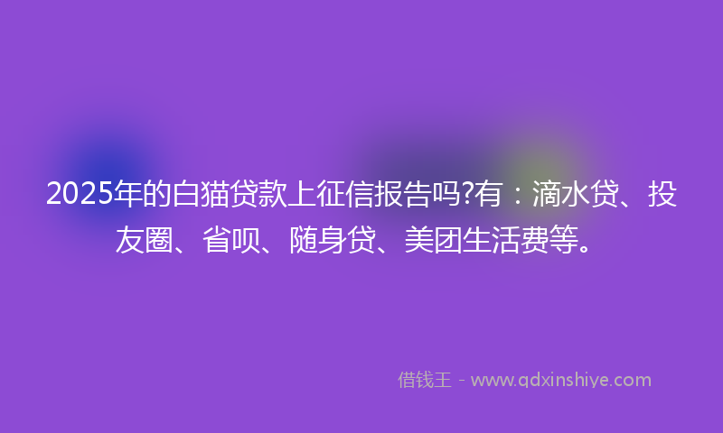2025年的白猫贷款上征信报告吗?有：滴水贷、投友圈、省呗、随身贷、美团生活费等。
