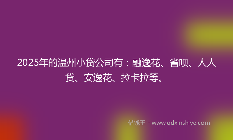 2025年的温州小贷公司有：融逸花、省呗、人人贷、安逸花、拉卡拉等。