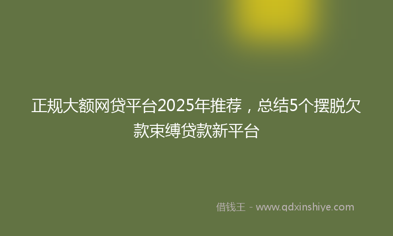 正规大额网贷平台2025年推荐，总结5个摆脱欠款束缚贷款新平台