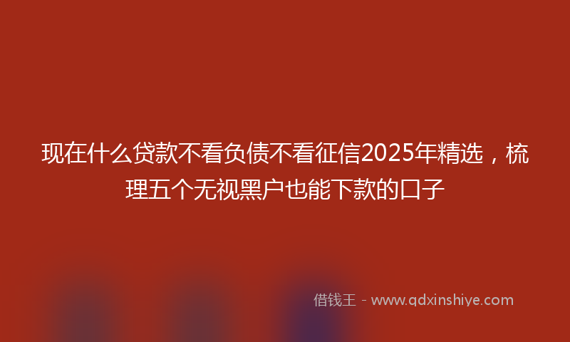 现在什么贷款不看负债不看征信2025年精选，梳理五个无视黑户也能下款的口子