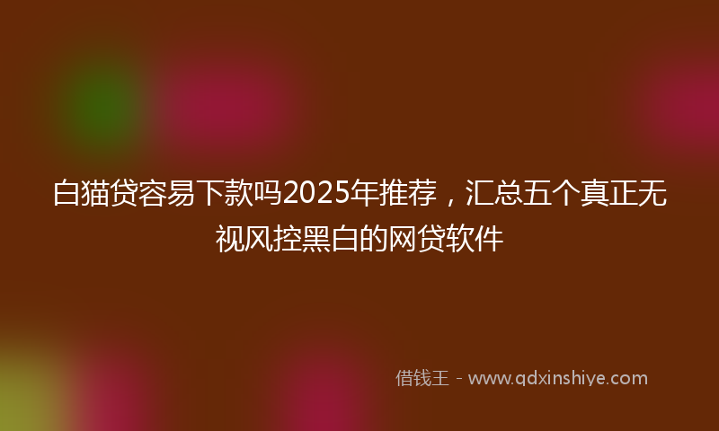 白猫贷容易下款吗2025年推荐,汇总五个真正无视风控黑白的网贷软件