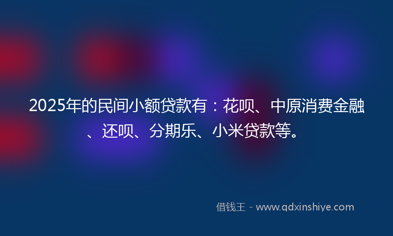 2025年的民间小额贷款有：花呗、中原消费金融、还呗、分期乐、小米贷款等。